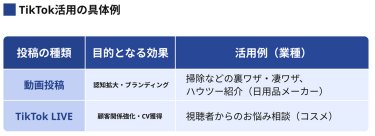 TikTok活用の具体例
