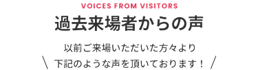 過去来場者からの声