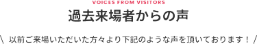 過去来場者からの声