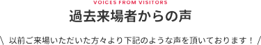 過去来場者からの声