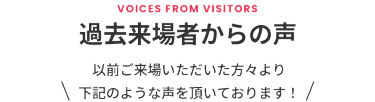 過去来場者からの声